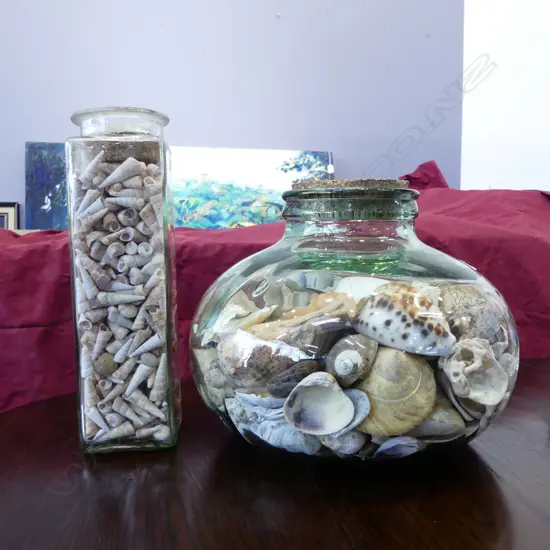 2 GLASS JARS OF SHELLS