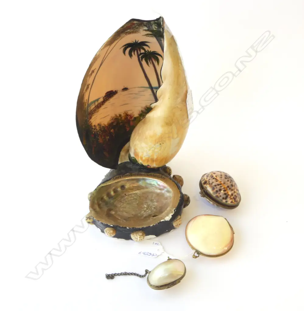 VINTAGE PAINTED CONCH & ABALONE SHELL 'GREETINGS FOMR URANGAN' H.260mm + 3 SHELL FORM BOXES Image 1++