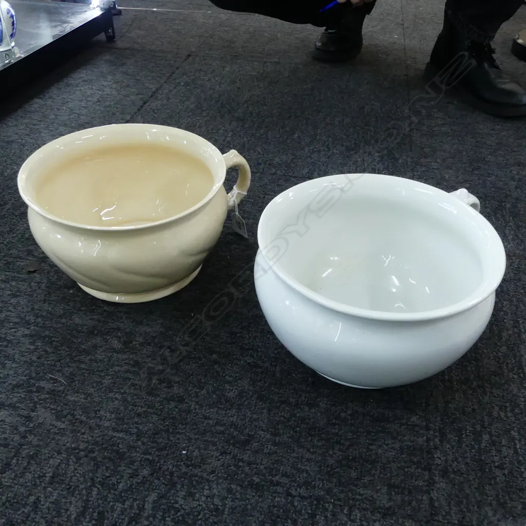 CROWN LYNN POTTIE (SMALL CHIP) & OTHER POTTIE W.270mm Image 1++