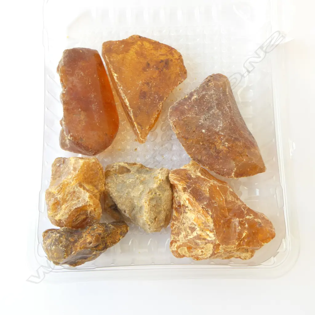 SIX PIECES KAURI GUM, L.60MM-100MM Image 1++