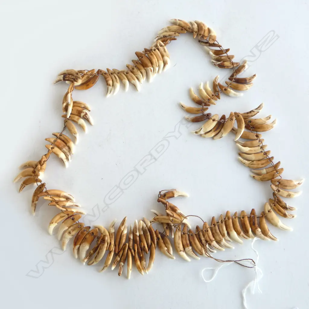 PNG DOG TOOTH NECKLACE Image 1++