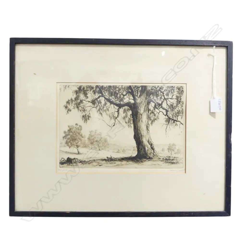 ERNEST ABBOTT (1888-1973) 'RED GUM' ETCHING 7/50 200x295mm Image 1++