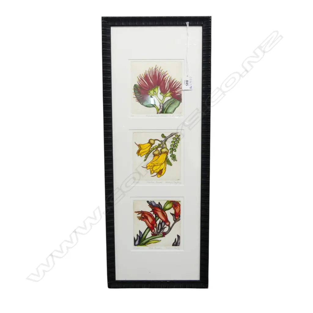 MARY E TAYLOR, 3 FLOWERS (POHUTUKAWA, KOWHAI & FLAX) PRINT 130x130mm, 645x250mm overall Image 1++