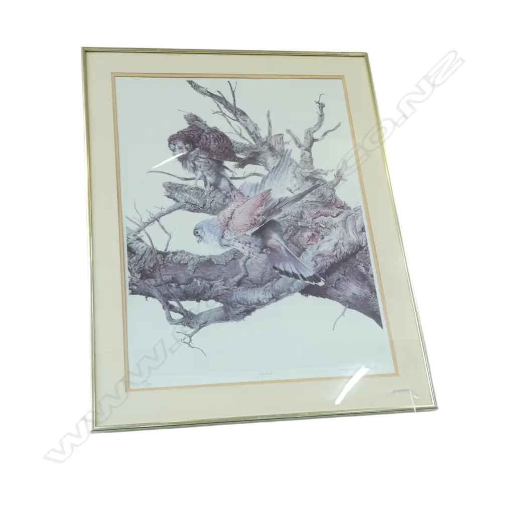 RAYMOND CHING 'KESTRELS' PRINT 539/850 660x485mm Image 1++