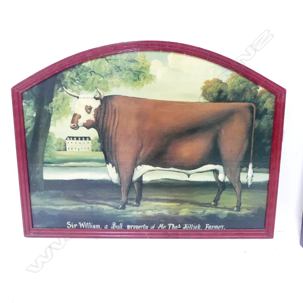 ANTIQUE STYLE BULL PRINT 460x610mm overall Image 1++
