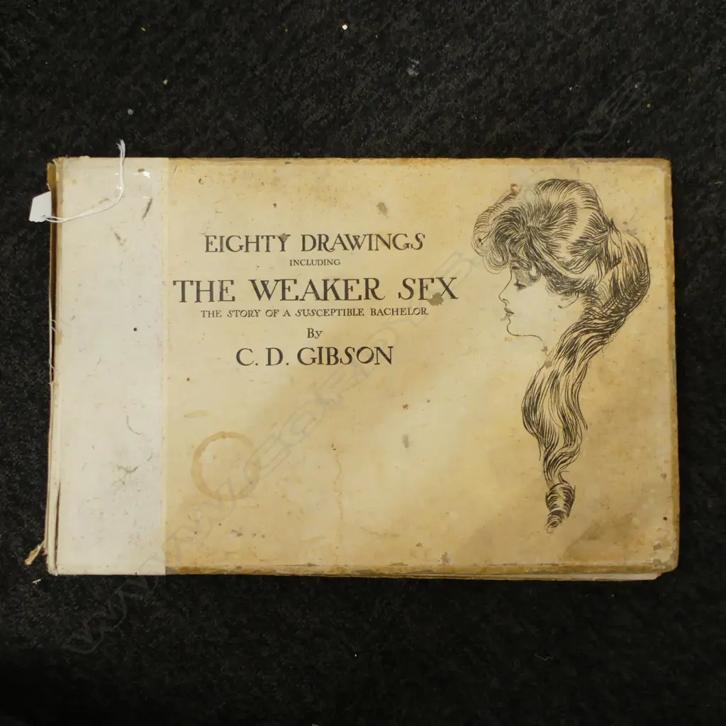 '80 DRAWINGS INCLUDING THE WEAKER SEX' by C.D. GIBSON 1903 Image 1++