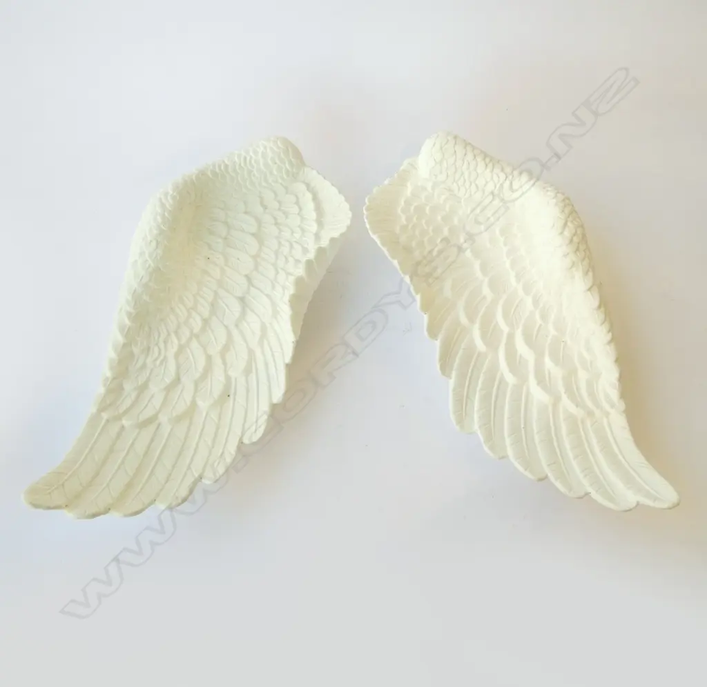 PR OF ANGEL WINGS L.460mm Image 1++