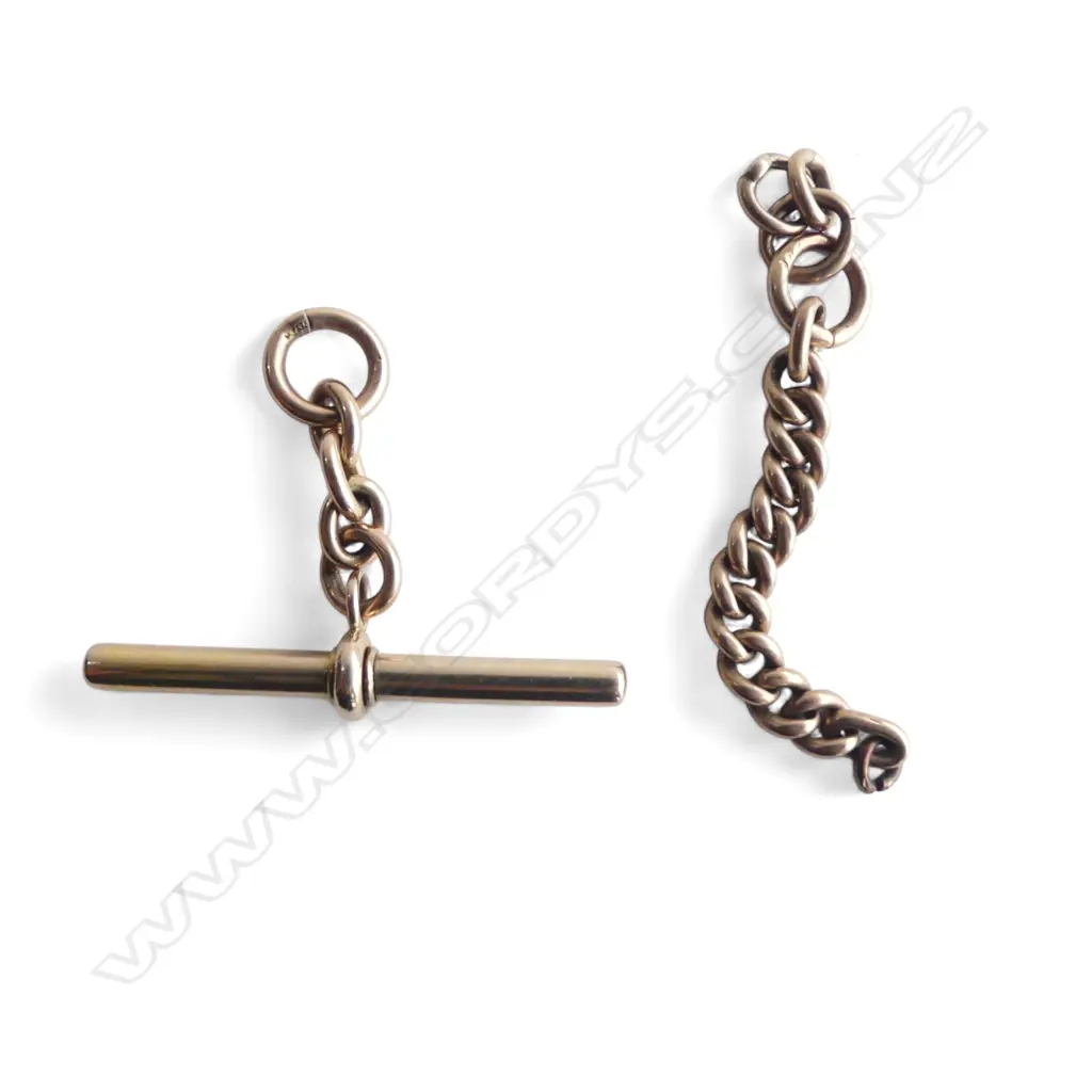 c1900 T - BAR & CHAIN testing as plated ? Image 1++