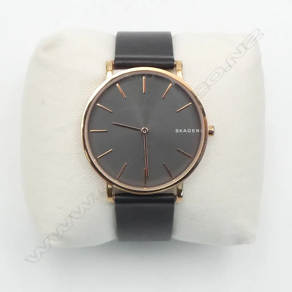 SKAGEN WATCH, NEW OLD STOCK Image 1++