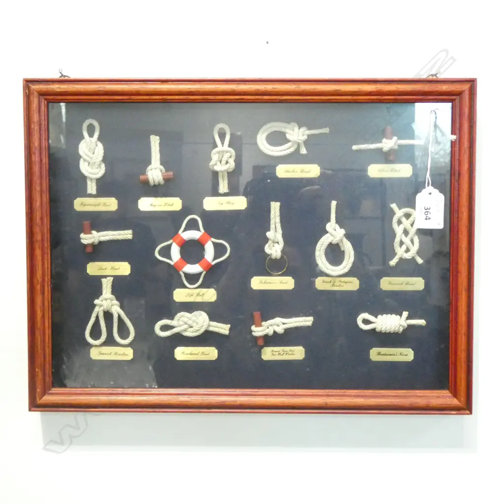 CASED SAILOR'S KNOTS DISPLAY 300 X 400mm Image 1++