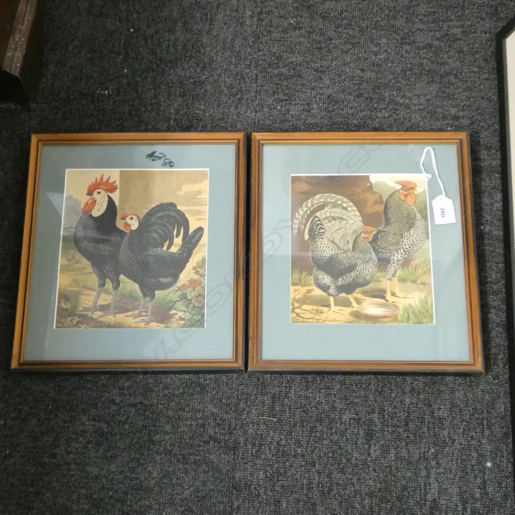 PR LATE 19thC POULTRY BOOKPLATE CHROMOLITHOGRAPHS - CASSELLS? 200x170mm Image 1++