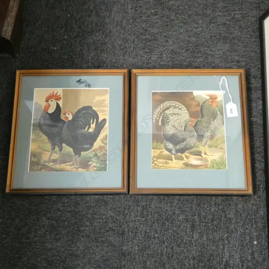 PR LATE 19thC POULTRY BOOKPLATE CHROMOLITHOGRAPHS - CASSELLS? 200x170mm