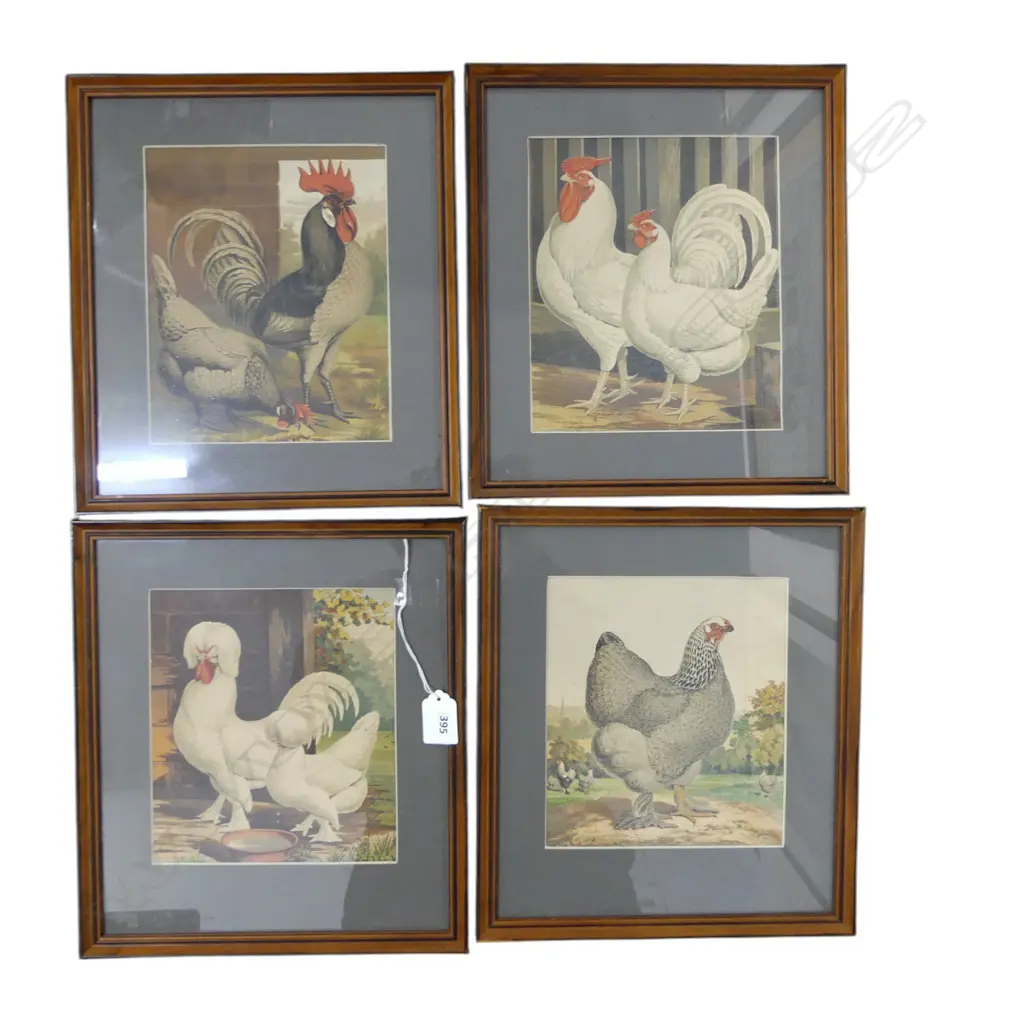 4 LATE 19thC POULTRY BOOKPLATE CHROMOLITHOGRAPHS - CASSELLS? 190x165mm Image 1++