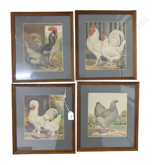 4 LATE 19thC POULTRY BOOKPLATE CHROMOLITHOGRAPHS - CASSELLS? 190x165mm