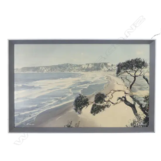 WHITES AVIATION 'TE ARAROA' HAND COLOURED PHOTOGRAPH PRINT 245x395mm marks