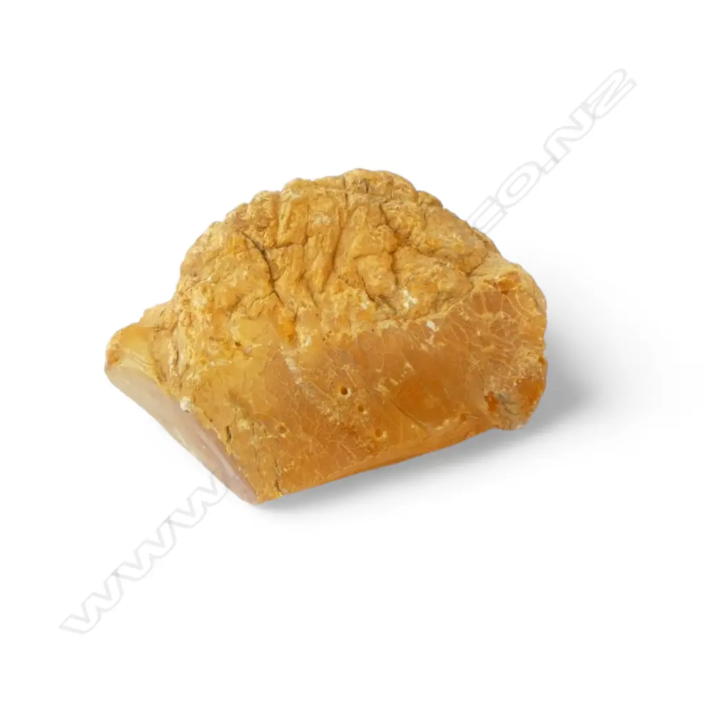 HONEY TONED KAURI GUM PIECE 165 X 105 X 70mm Image 1++