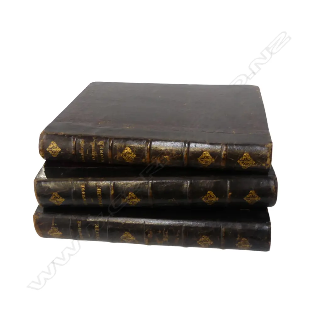 2 ANTIQUE DE GRANDPRE 'CARTOUCHE' BOOKS + LA PETITE MIONNE ANTIQUE BOOK Image 1++