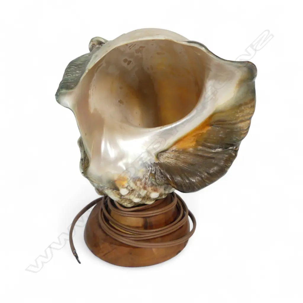 CARVED MOP SHELL TABLE LAMP H250MM Image 1++