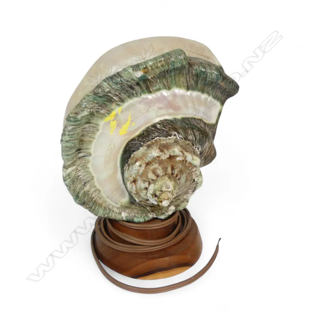CARVED MOP SHELL TABLE LAMP H250MM Image 1++