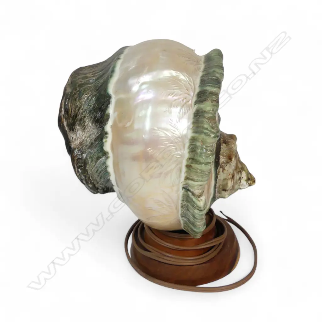 CARVED MOP SHELL TABLE LAMP H250MM Image 1++