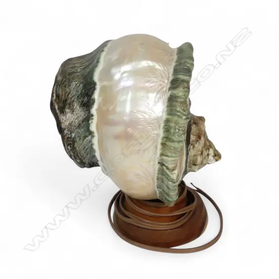 CARVED MOP SHELL TABLE LAMP H250MM