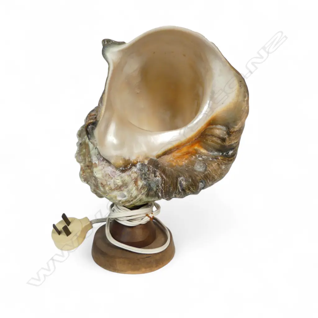 CARVED MOP SHELL TABLE LAMP H240MM Image 1++