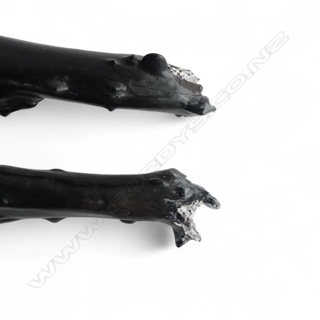 OLD PETRIFIED WOOD BRANCH in 2 pieces L.880mm approx Image 1++