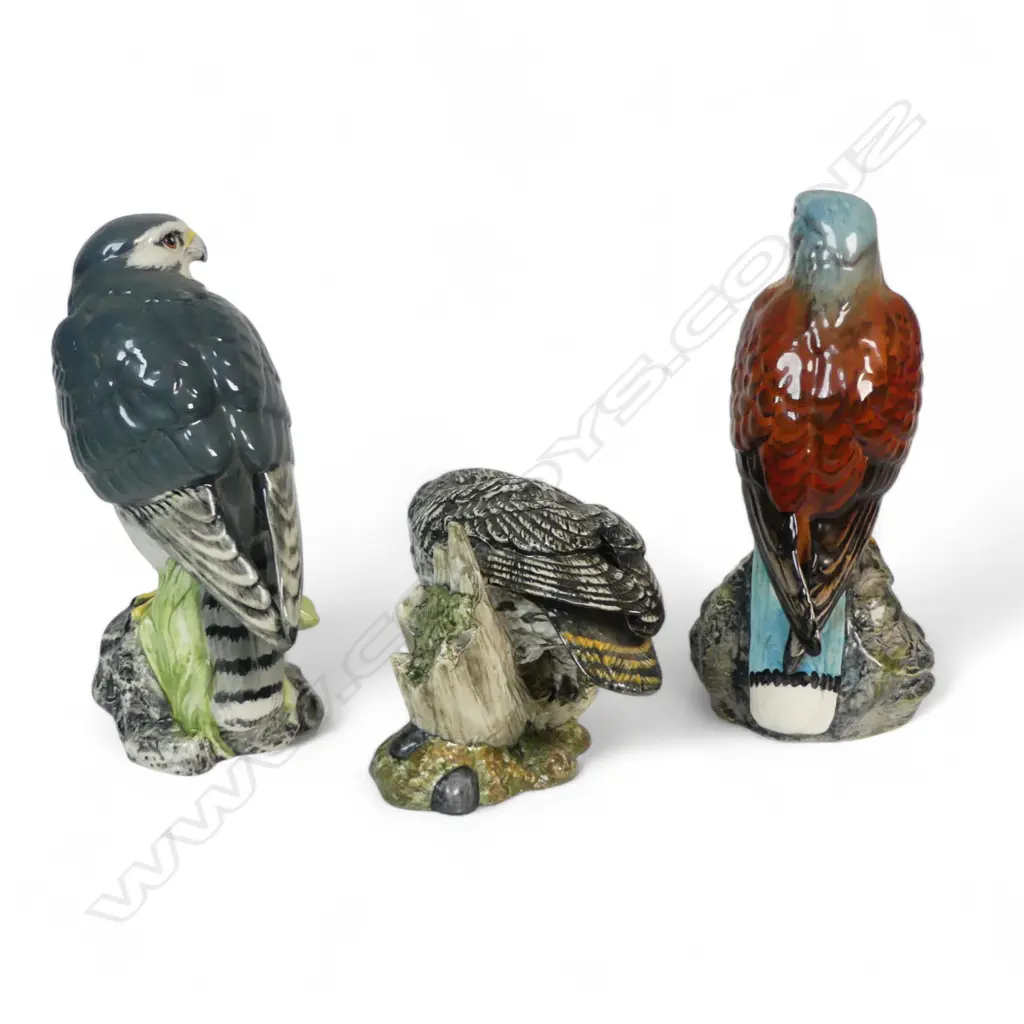 2 R/D CHINA FALCONS H180MM & MACK CHINA OWL H100MM Image 1++
