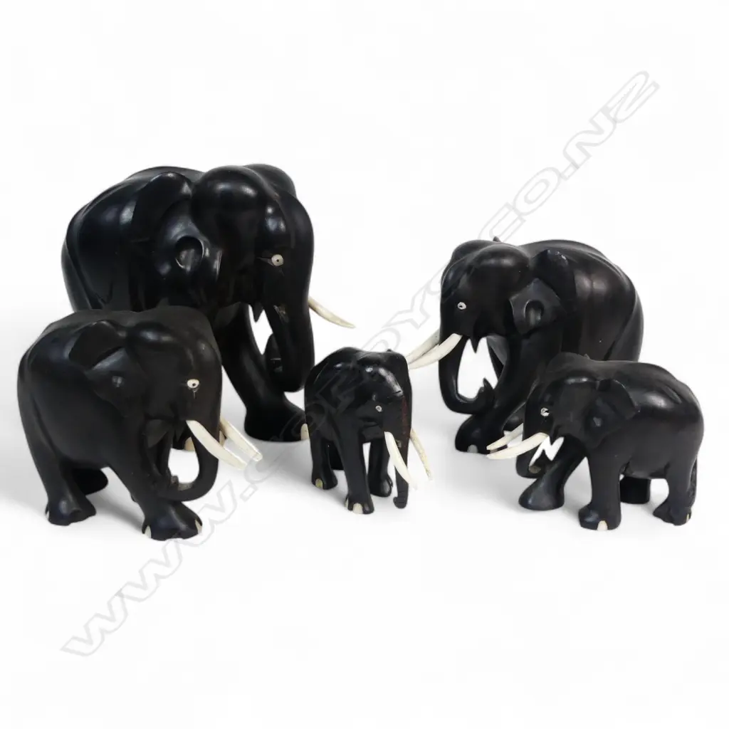 HERD OF 5 EBONY ELEPHANTS H200MM TALLEST Image 1++