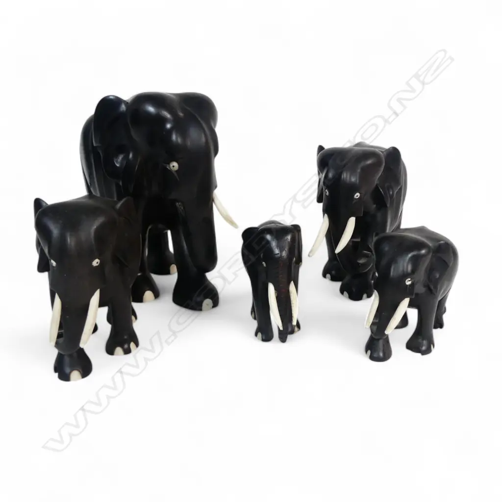 HERD OF 5 EBONY ELEPHANTS H200MM TALLEST Image 1++