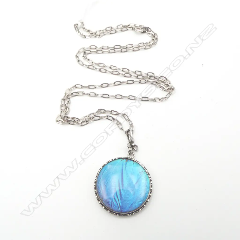 VINTAGE SILVER CASED BUTTERFLY WING PENDANT, FLOWER BALE & SILVER CHAIN Image 1++