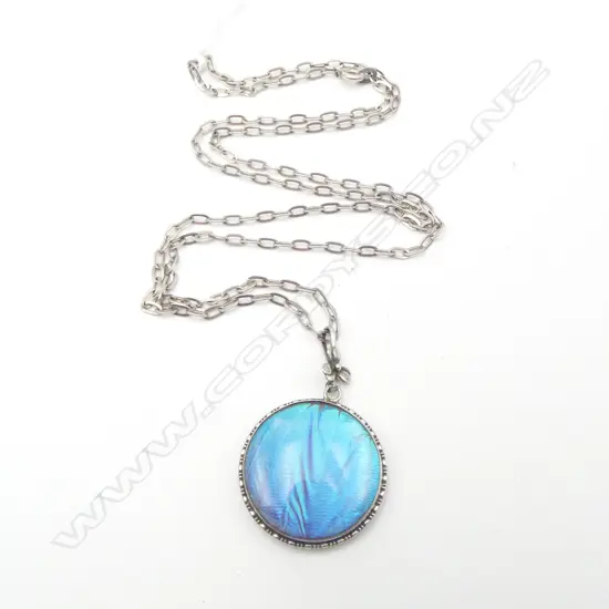 VINTAGE SILVER CASED BUTTERFLY WING PENDANT, FLOWER BALE & SILVER CHAIN