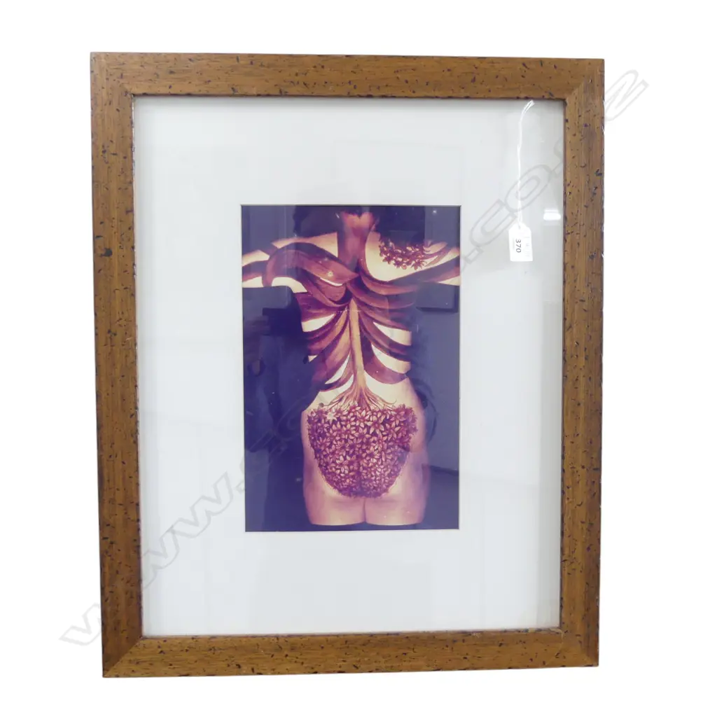 EMMA BASS, NUDE, PHOTOGRAPH, NOT SIGNED 300x200mm Image 1++