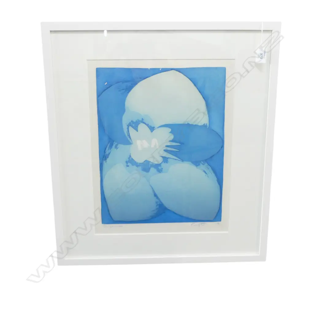 RODNEY FUMPSON, DELPHINIUM, PRINT Ed. 12/40 430x330mm  Image 1++