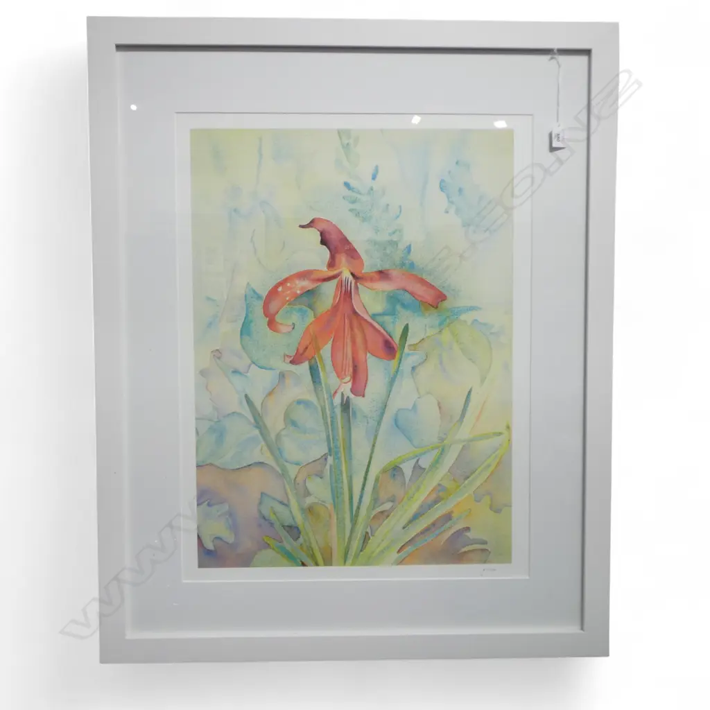 RITA ANGUS, ORCHID, PRINT 47/500 700x525mm Image 1++