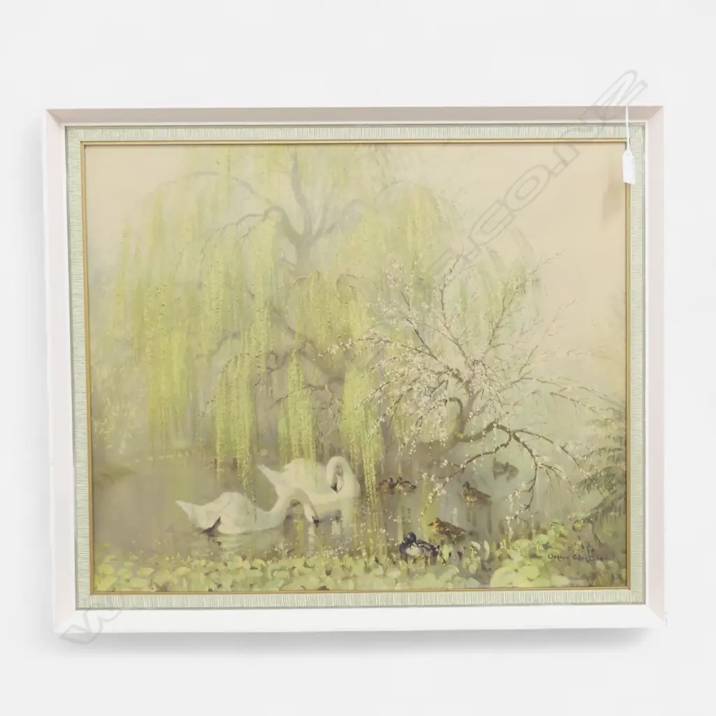 VERNON WARD SWANS PRINT 500x600mm Image 1++