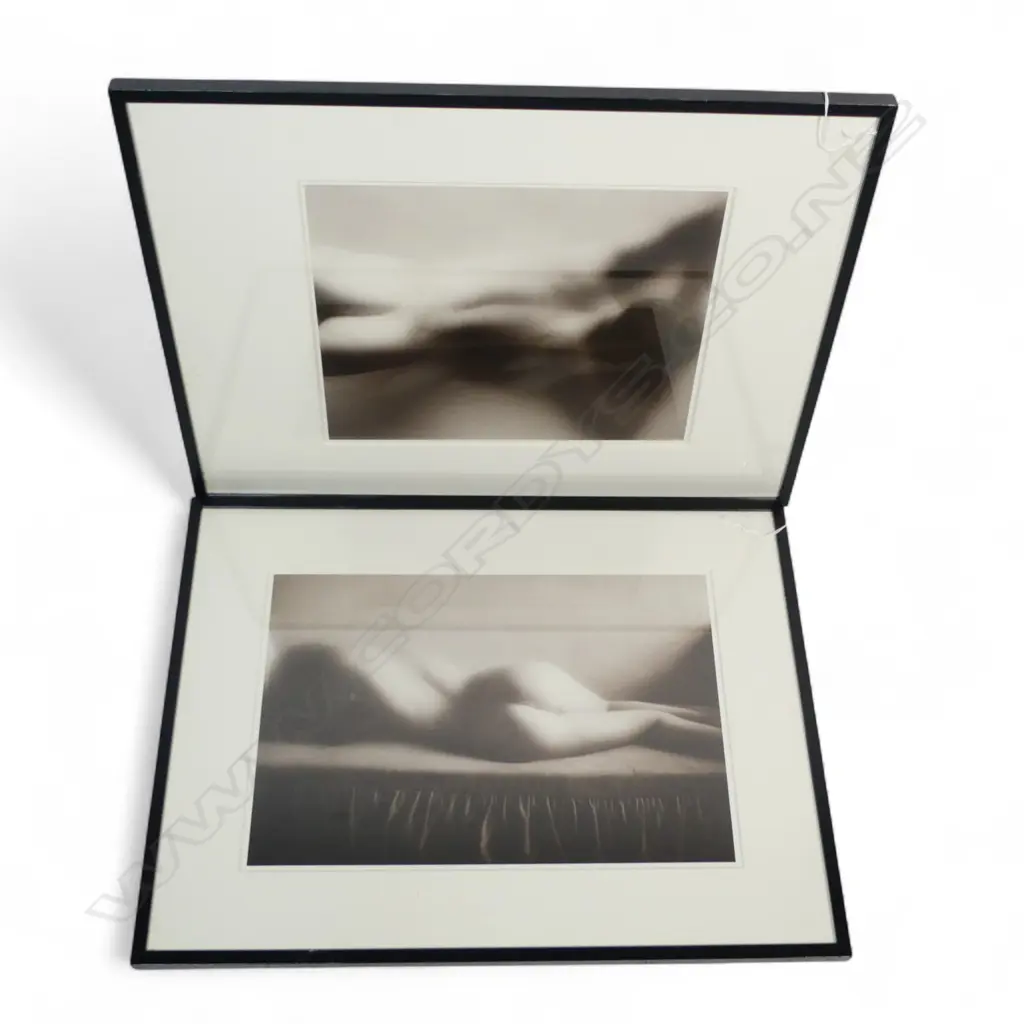 PR OF PHOTOGRAPHIC NUDES H270 W400MM (From the Estate of Tommy Doyle) Image 1++