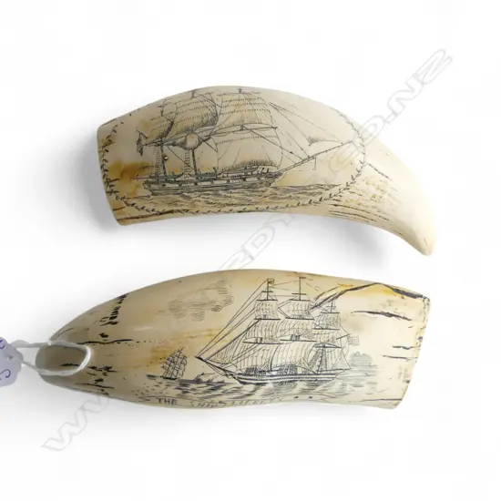 2 RESIN SCRIMSHAW L.165mm