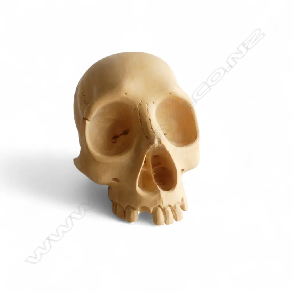 SML CARVED WOODEN SKULL, H.40mm Image 1++