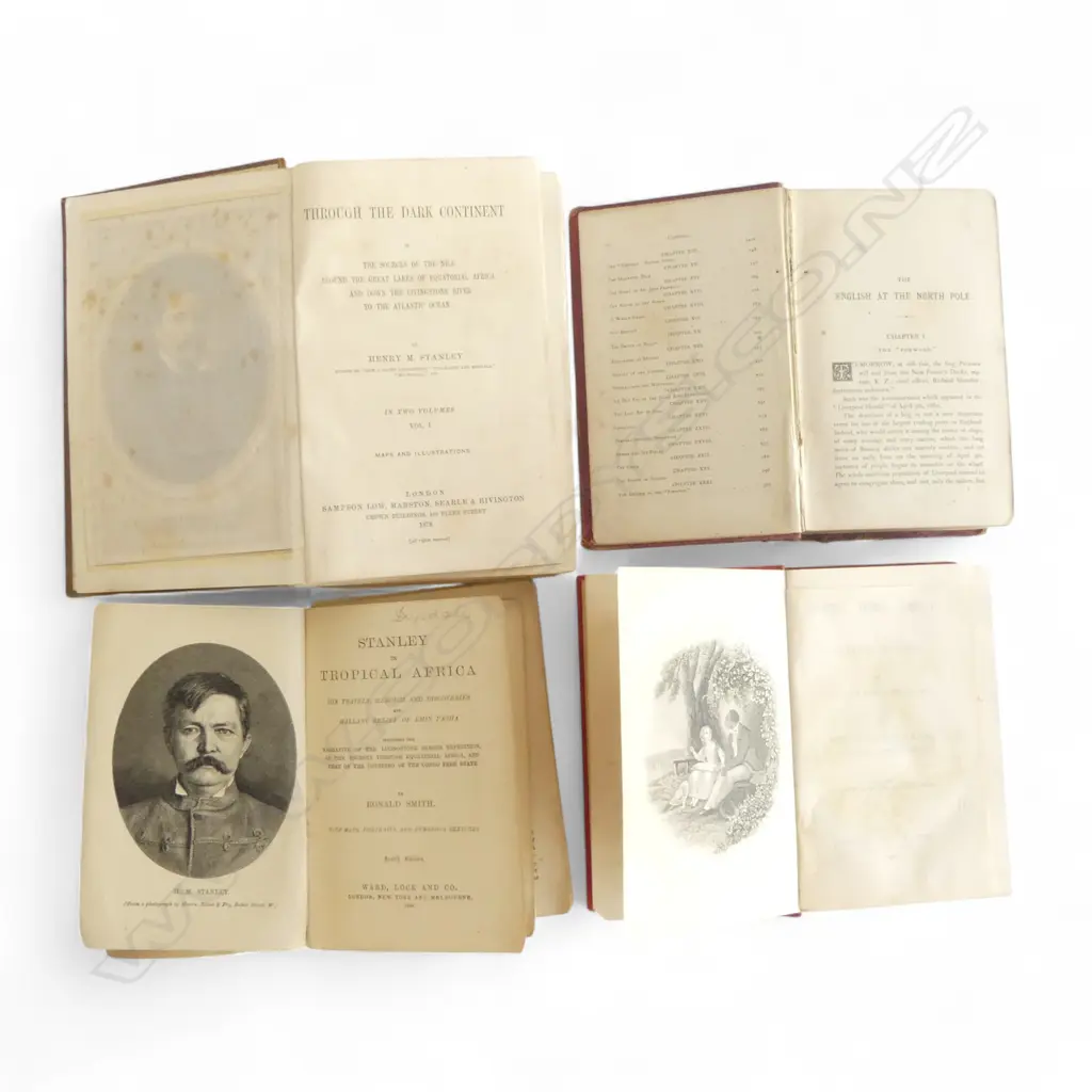 FOUR OLD BOOKS, THROUGH THE DARK CONTINENT, THE ENGLISH AT THE NORTH POLE, STANLEY IN TROPICAL AFRICA, UNCLE TOMS CABIN Image 1++