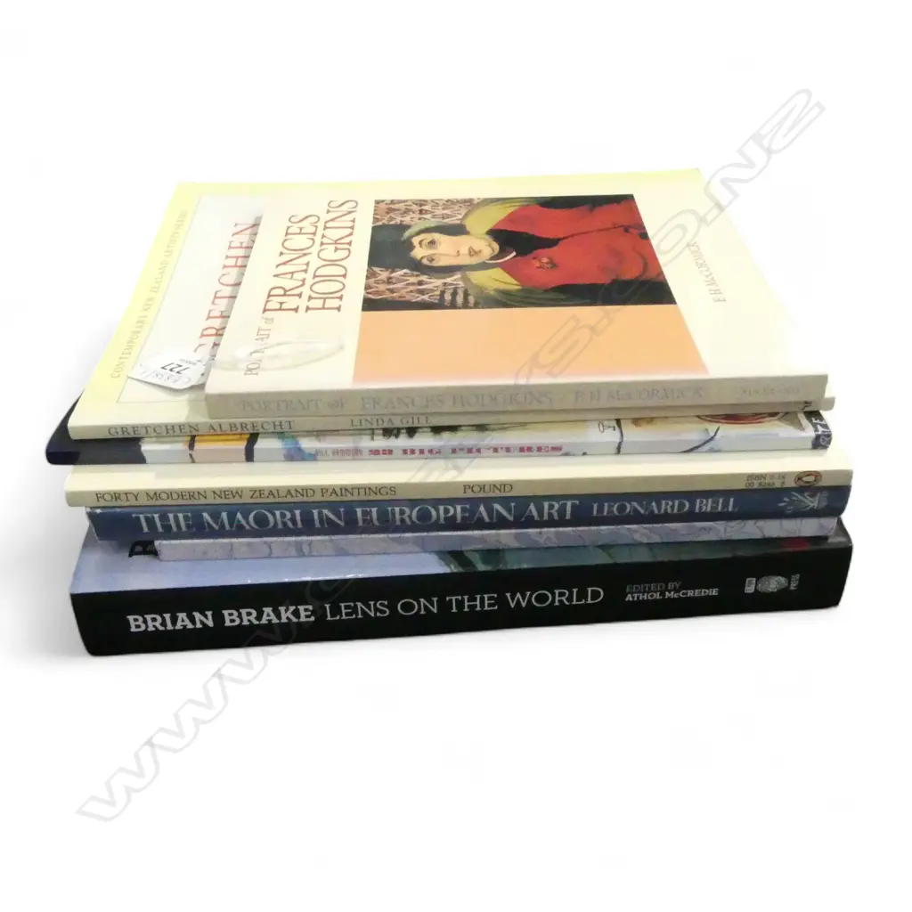 7 NZ ART BOOKS; BRIAN BRAKE ETC Image 1++
