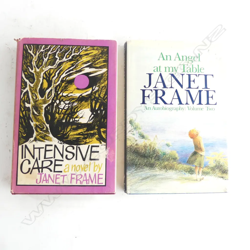 2 JANET FRAME WORKS; 1st Ed. INTENSIVE CARE NOVEL w. D/C +AN ANGEL AT MY TABLE AN AUTO BIOGRAPHY VOL. 2, 1st Ed. w. D/C Image 1++