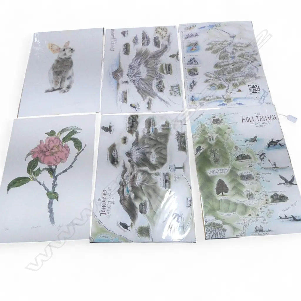 6 ART PRINTS; 4 GAMBLE FLINT NZ TRAMPING ILLUSTRATIONS 420x300mm, LAYLA WALTERS CAMELLIA 17/80, OLIVIA BEZETT BUNNY Image 1++