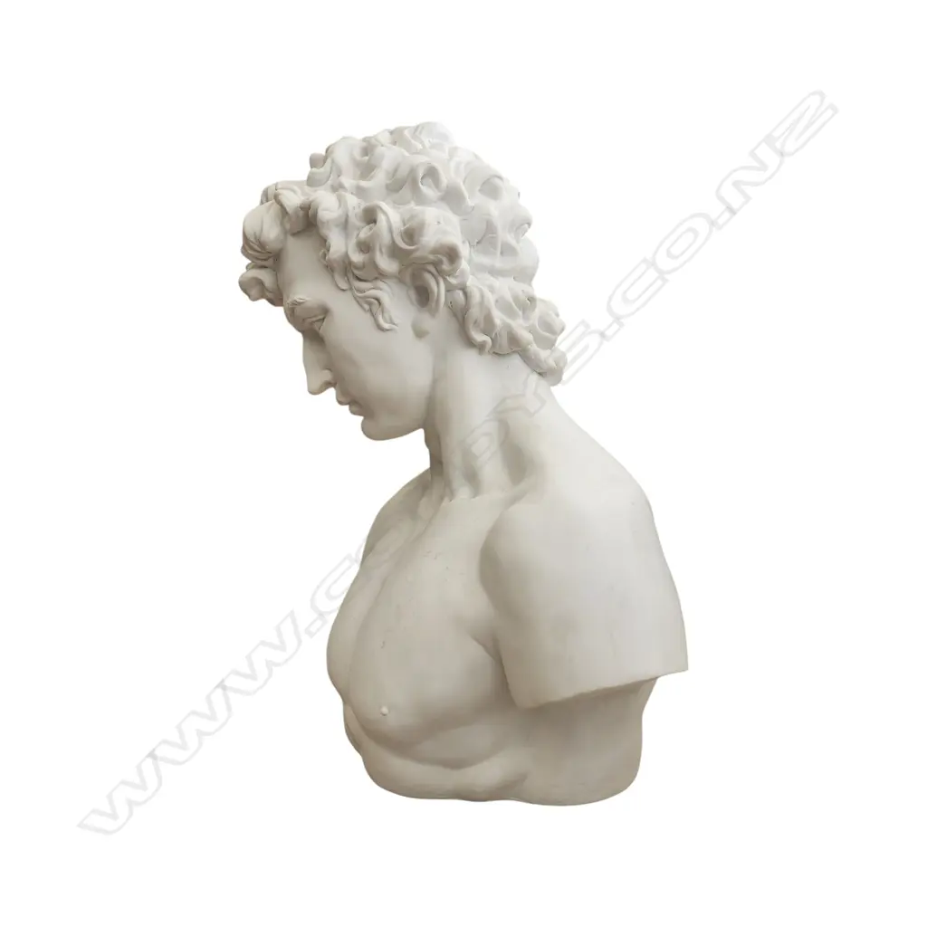 DAVID BUST MICHELANGELO RESIN SCULPTURE 320 x 270 mm Image 1++