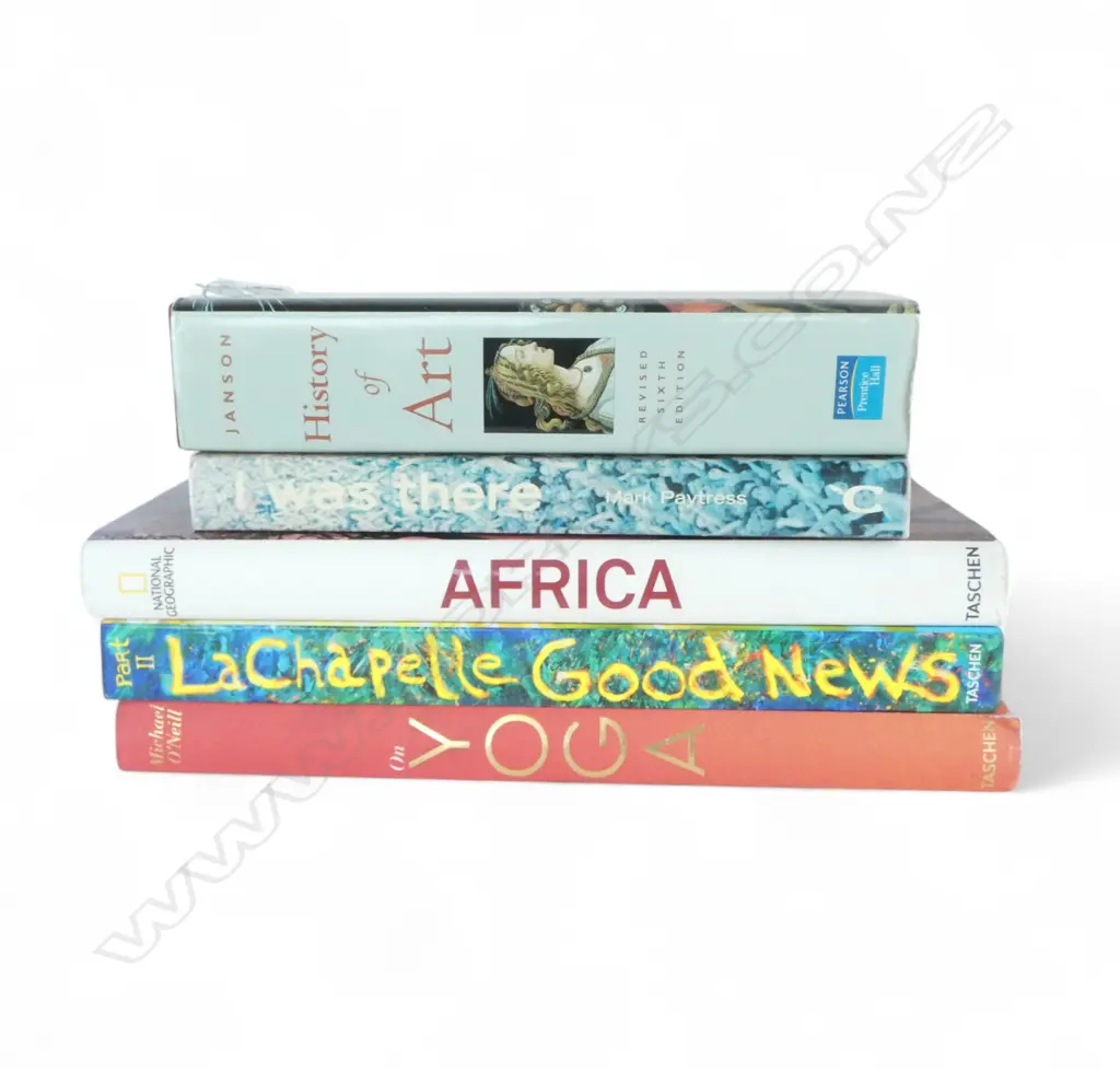 5 COFFEE TABLE BOOKS; AFRICA, LACHAPELLE, YOGA, ART, GIGS Image 1++