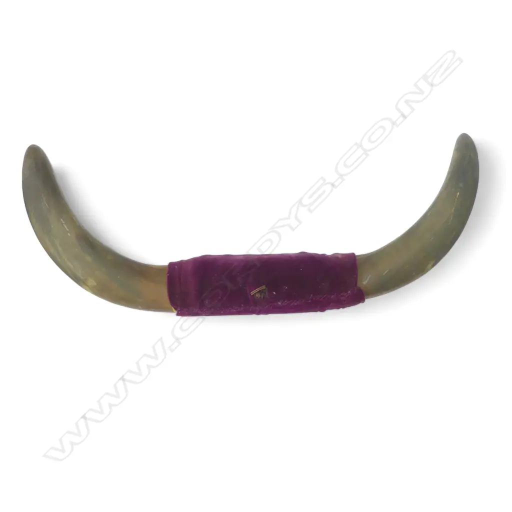 SET OF VINTAGE WALL MOUNTED BULL HORNS DIA630MM Image 1++