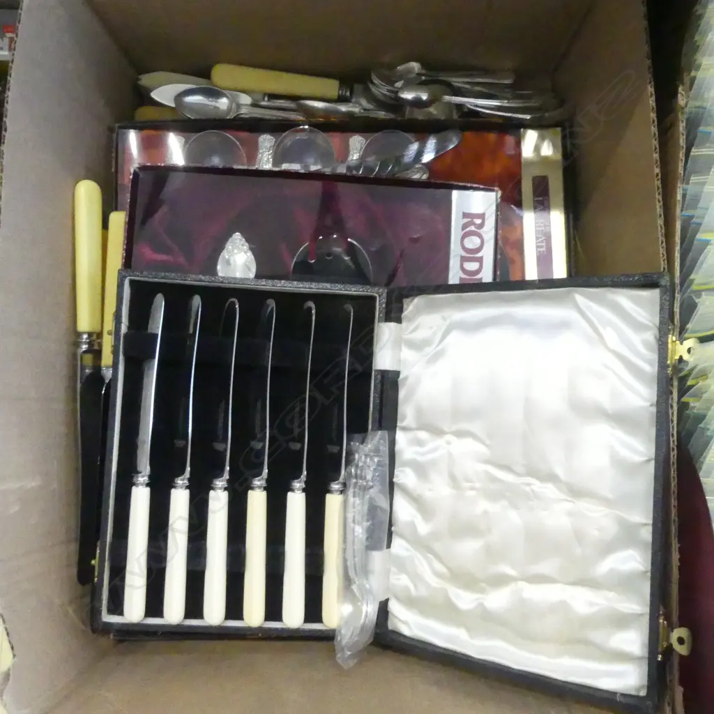 ASST. CUTLERY, SOME BOXED, IVORINE 'BONE' HANDLES ETC Image 1++