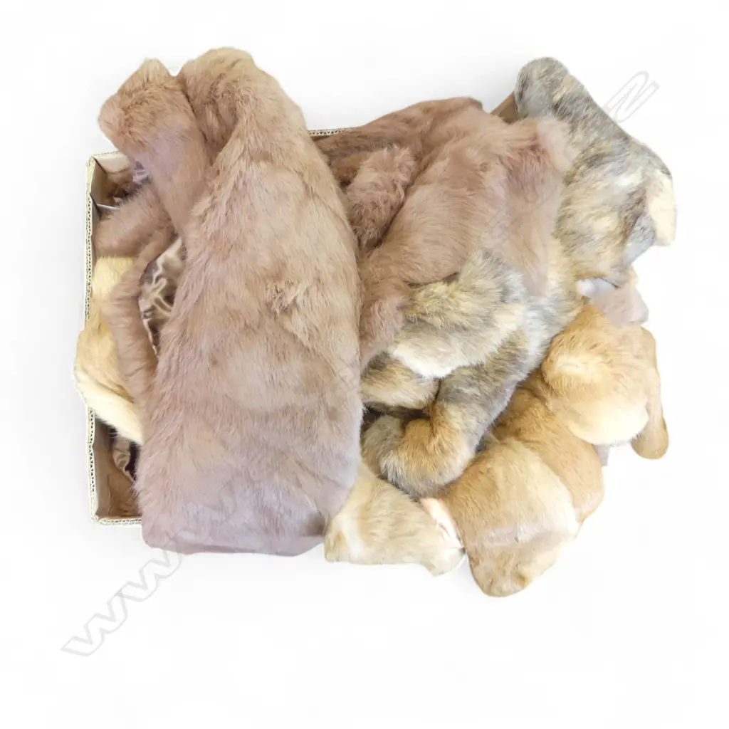 5 FUR JACKETS BY ENGLISH & FOREIGN FUR CO. LTD. WELLINGTON Image 1++