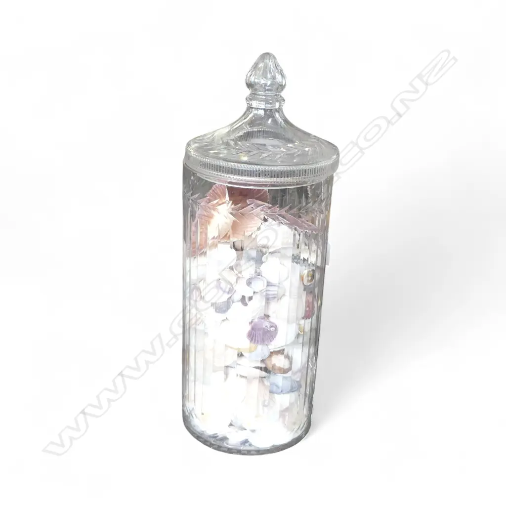 VINTAGE CUT CRYSTAL  LIDDE SHOP JAR H490MM CONTAINING SHELL COLLECTION Image 1++