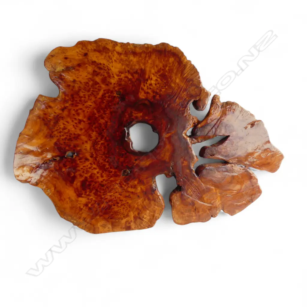 SLICE OF BURR TIMBER 400x530mm Image 1++